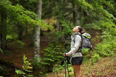 Hiker in a forest breathing fresh air standing alone