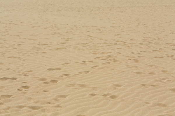 wzory piasku po wietrze na rezerwacie