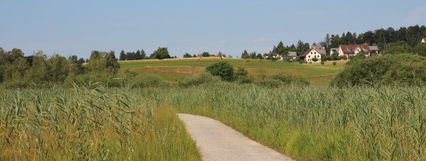 Nr. zdjęcia 30085708