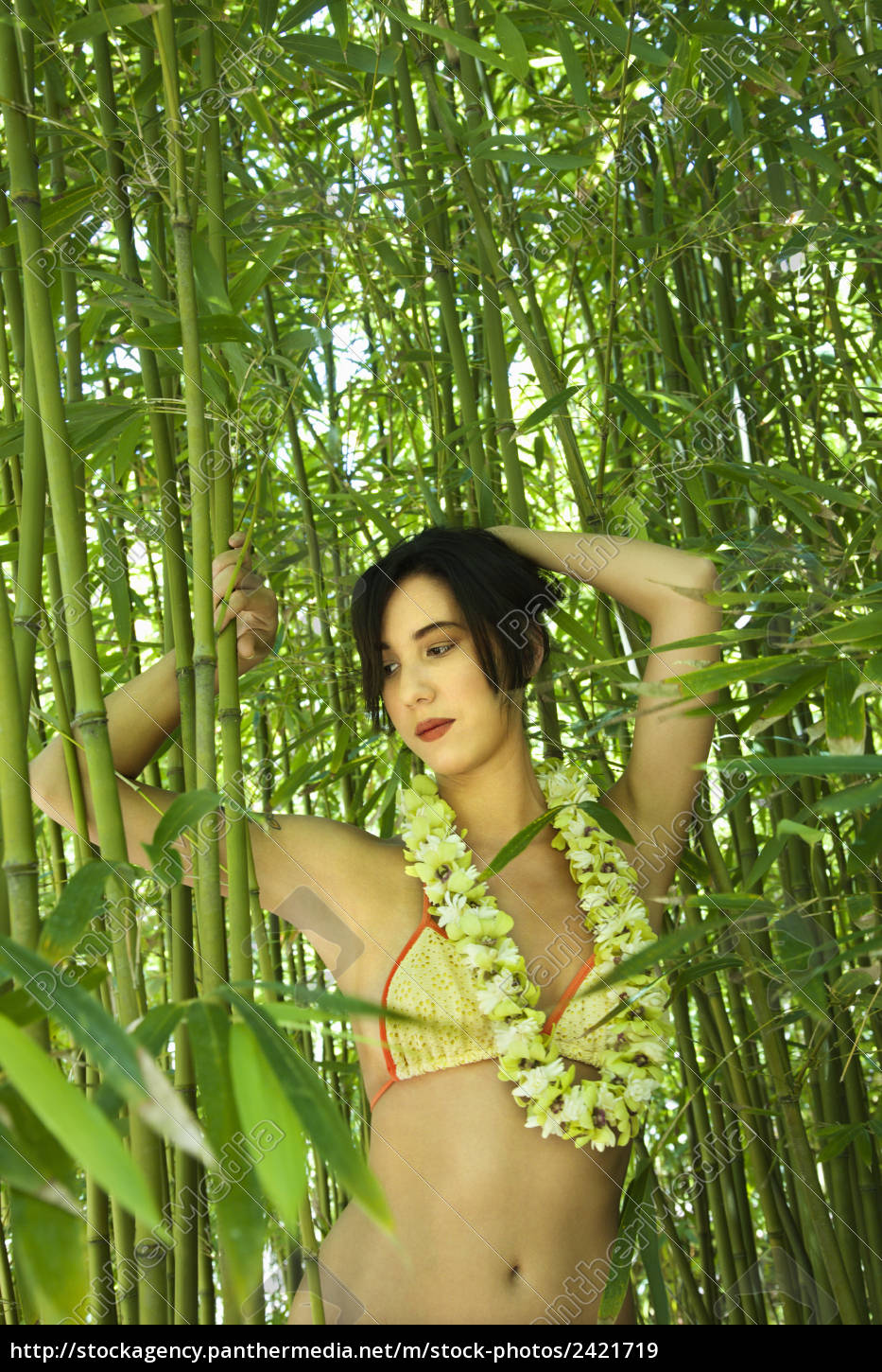 Mujer desnuda en la naturaleza. - Foto de archivo #2421719 | Agencia de  stock PantherMedia