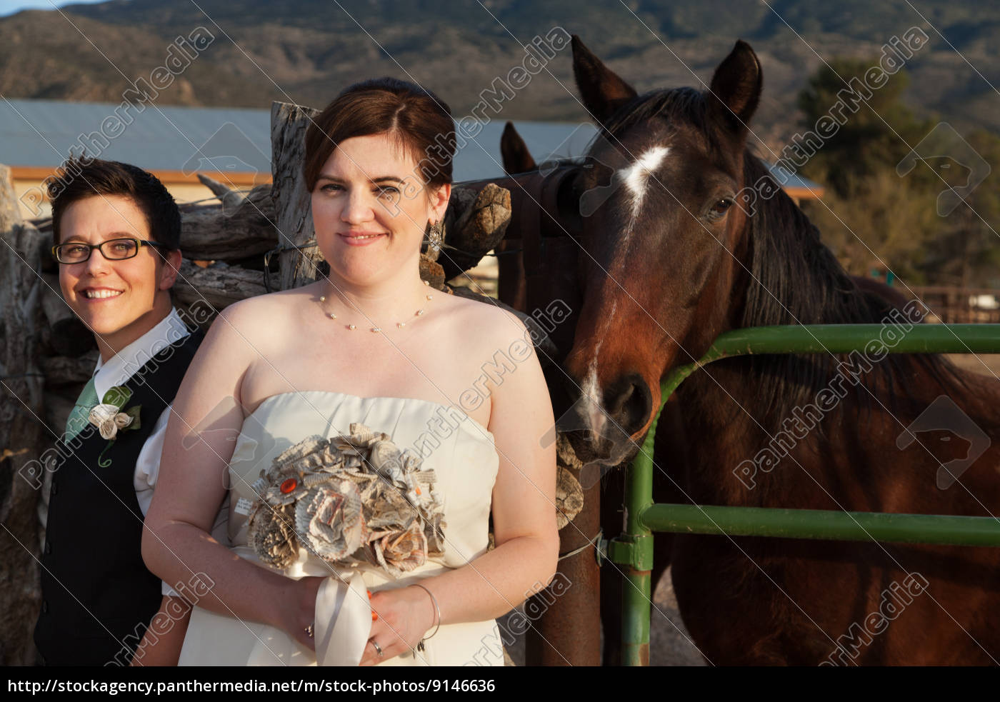 Casal gay casado perto de cavalo - Stockphoto #9146636 | Banco de Imagens  Panthermedia