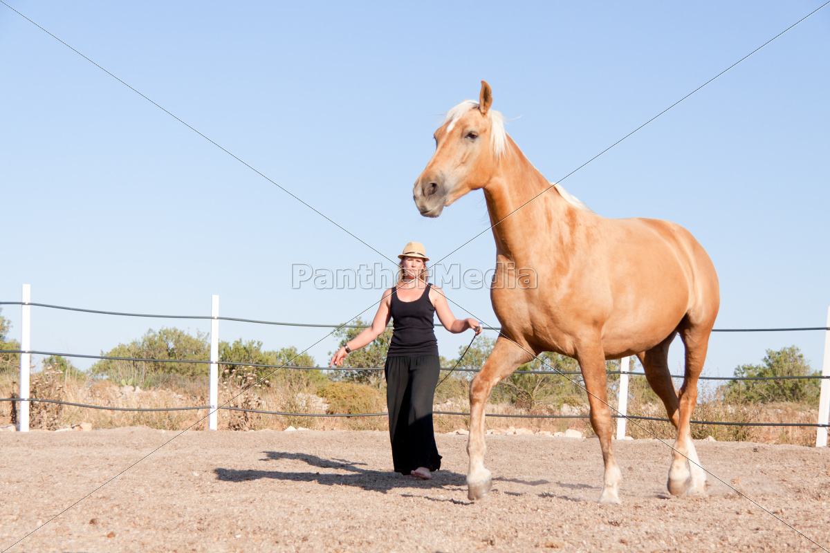 jovem piloto do sexo feminino treina seu cavalo ao ar - Stockphoto #9486162  | Banco de Imagens Panthermedia