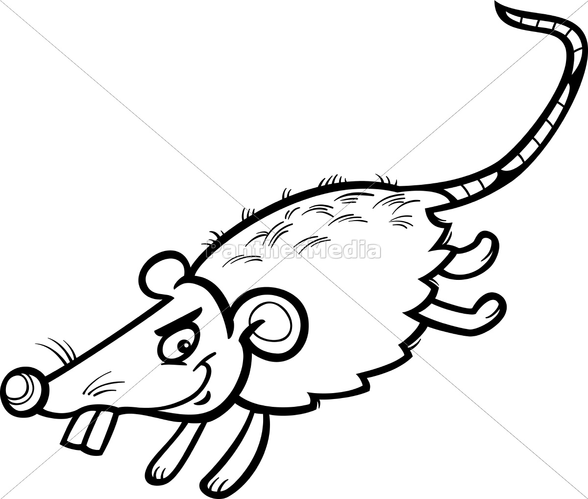 Dibujo animado de ratón o rata para colorear - Stockphoto #10085888 |  Agencia de stock PantherMedia