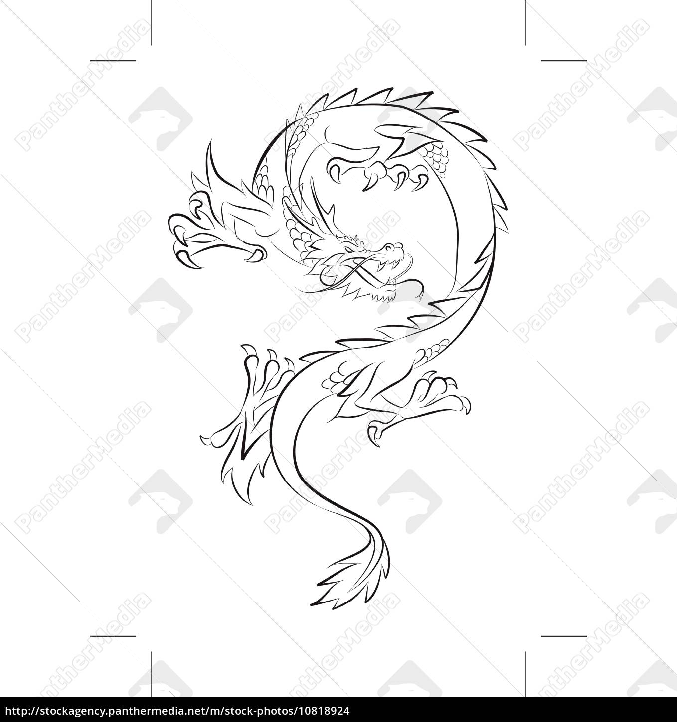 Drachen-Tattoo - Lizenzfreies Bild 10818924 | Bildagentur PantherMedia