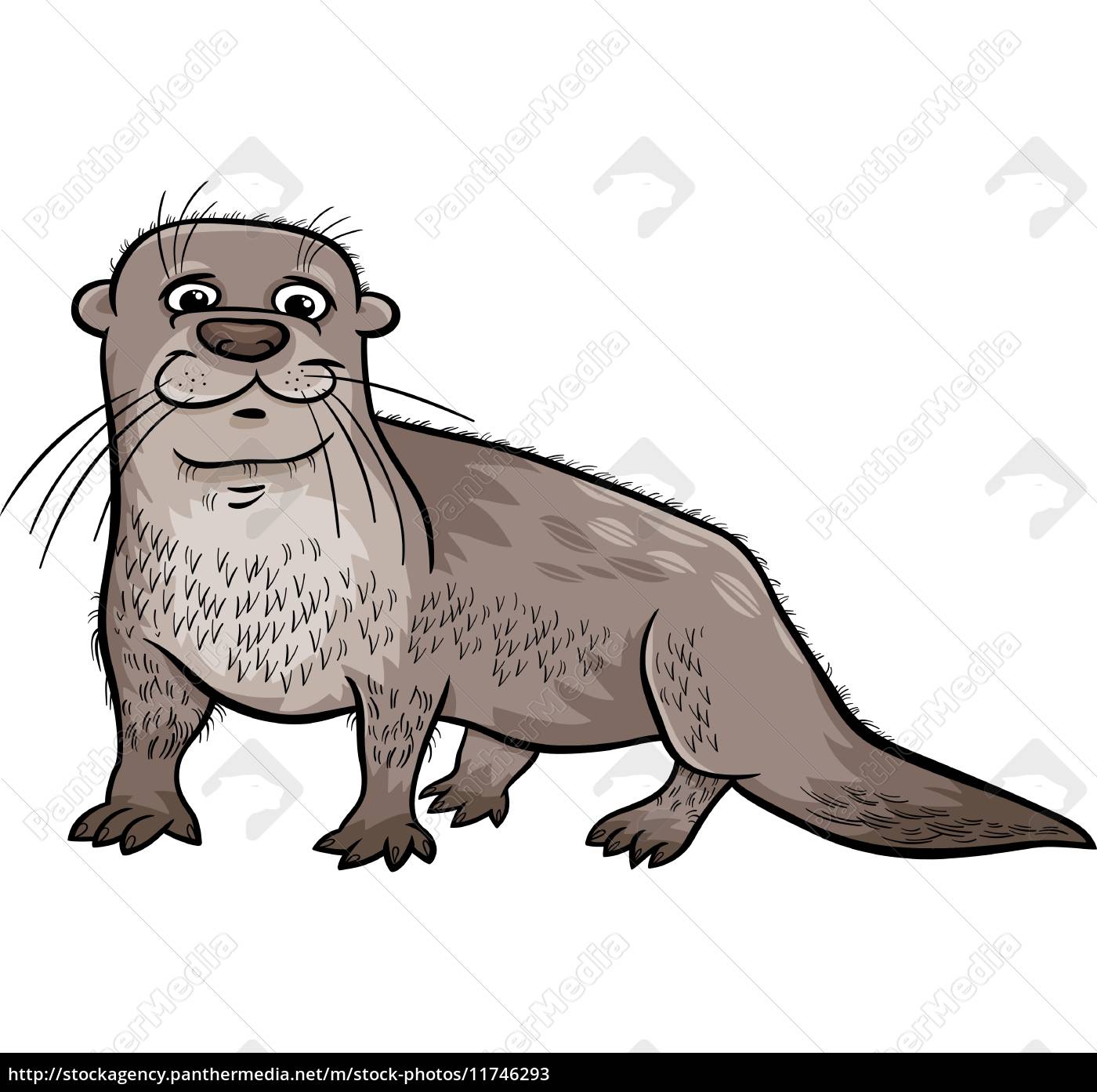 nutria animal dibujos animados ilustración - Stockphoto #11746293 | Agencia  de stock PantherMedia