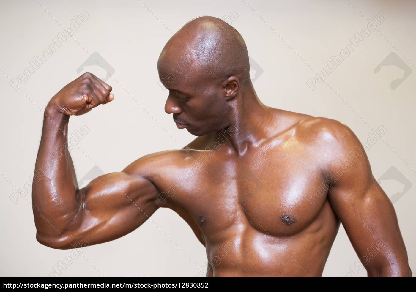 Hombre musculoso sin camisa flexionando músculos - Stockphoto #12830852 |  Agencia de stock PantherMedia