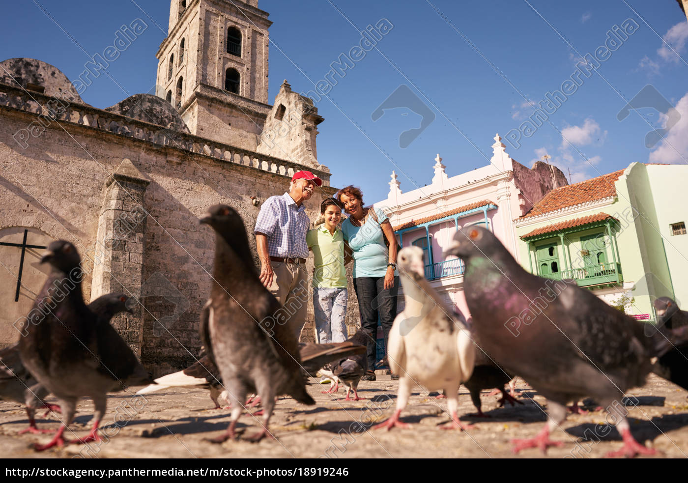 Avós e netos alimentando pombos nas férias em Cuba - Stockphoto #18919246 |  Banco de Imagens Panthermedia