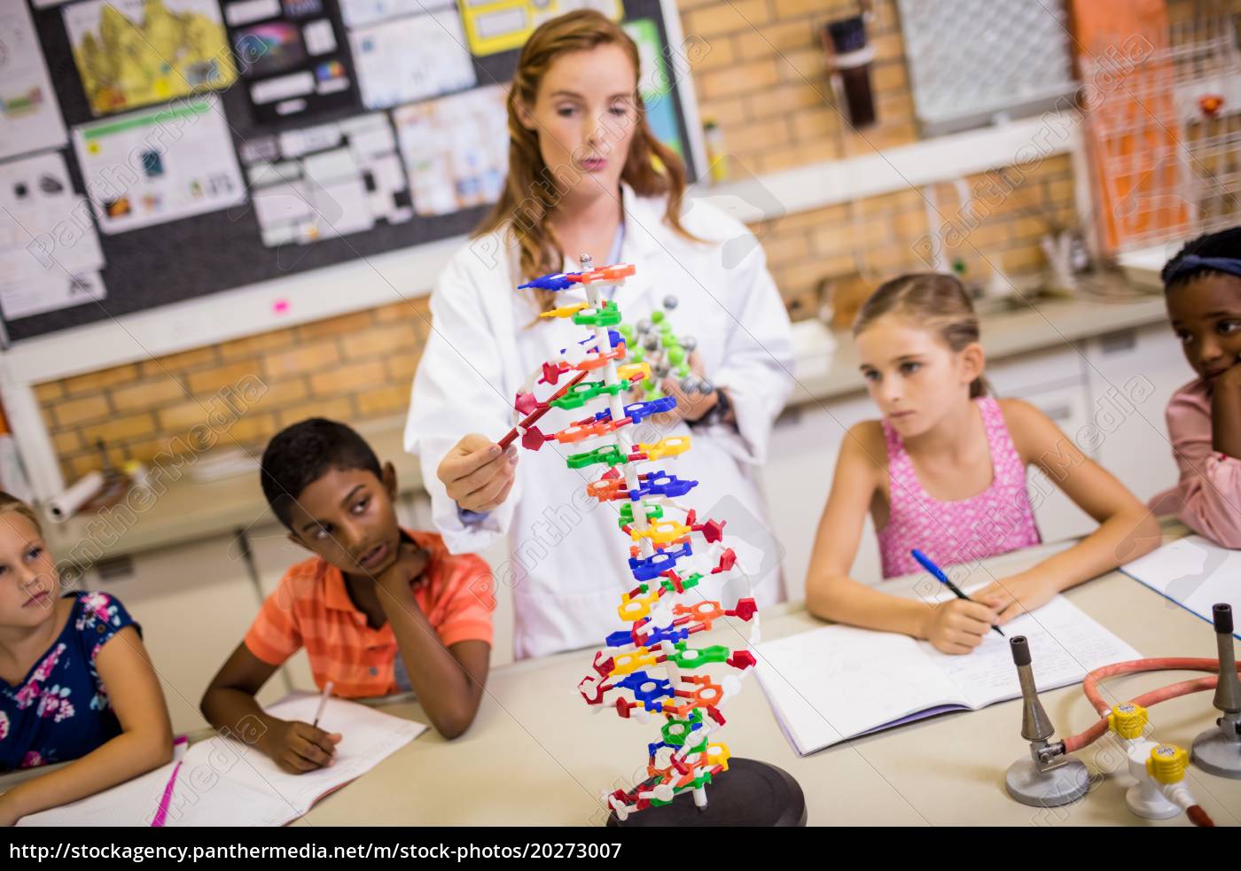 Professora dando aula para seus alunos - Stockphoto #20273007 | Banco de  Imagens Panthermedia