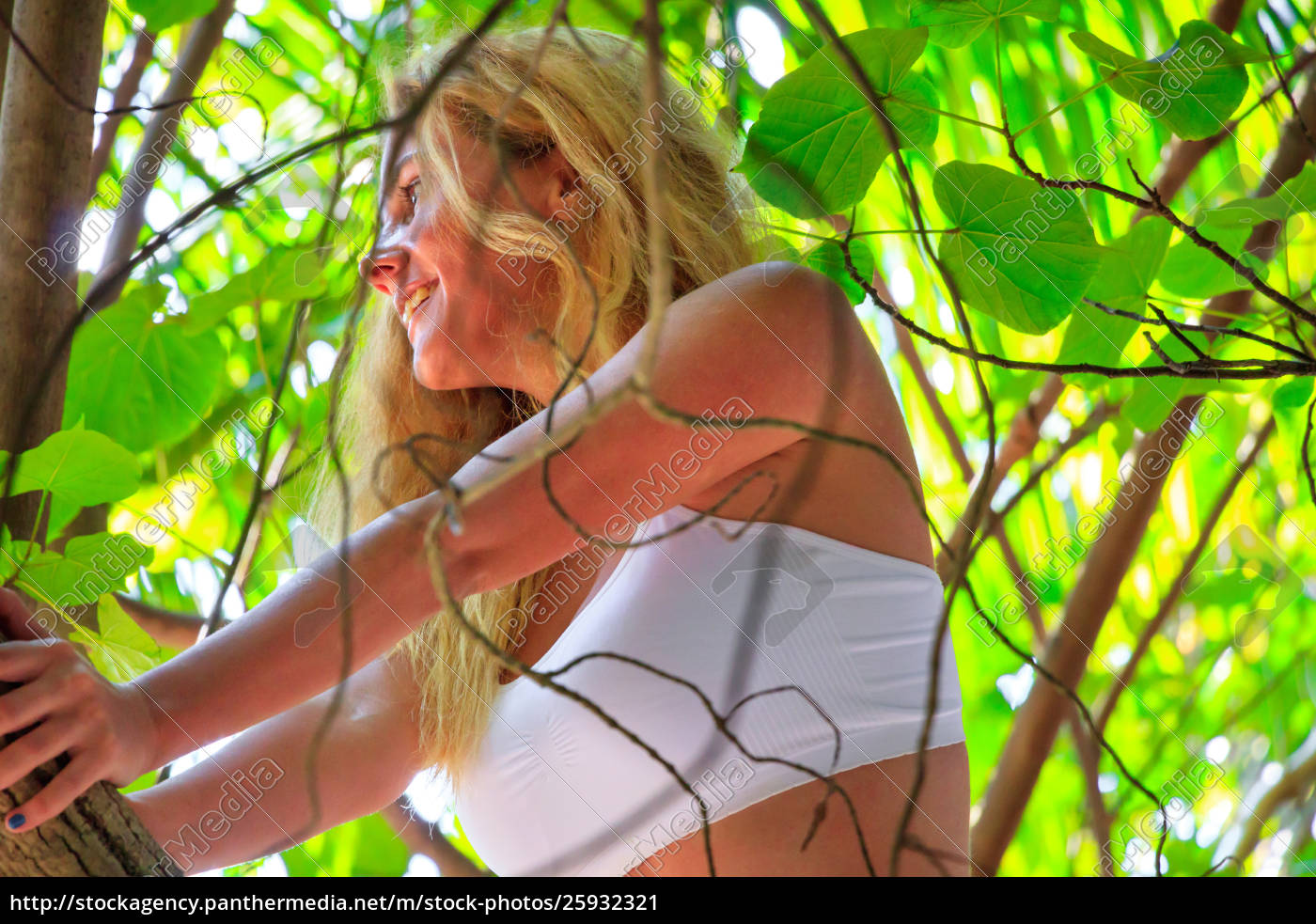 Mulher loira linda com cabelo comprido em um galho na - Stockphoto  #25932321 | Banco de Imagens Panthermedia