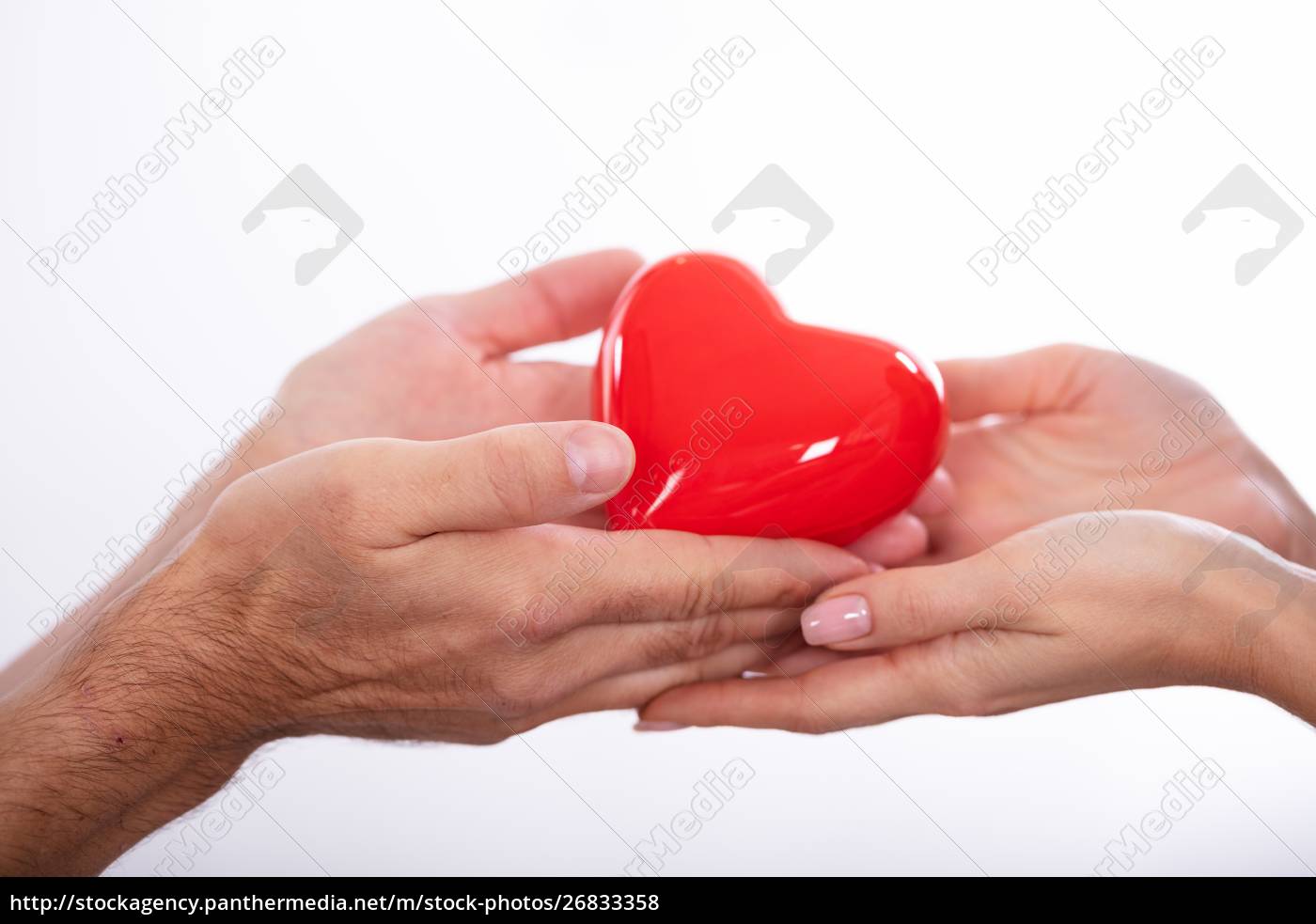 Homem dando coração na mão da mulher - Stockphoto #26833358 | Banco de  Imagens Panthermedia