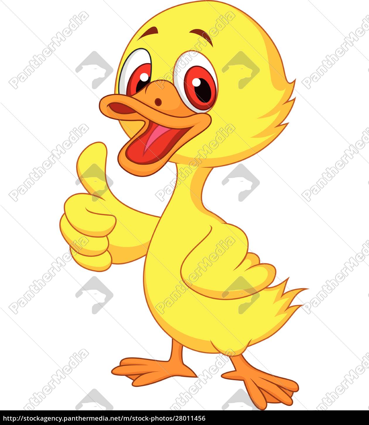 Lindo polegar de desenho animado de pato bebê para - Stockphoto #28011456 |  Banco de Imagens Panthermedia