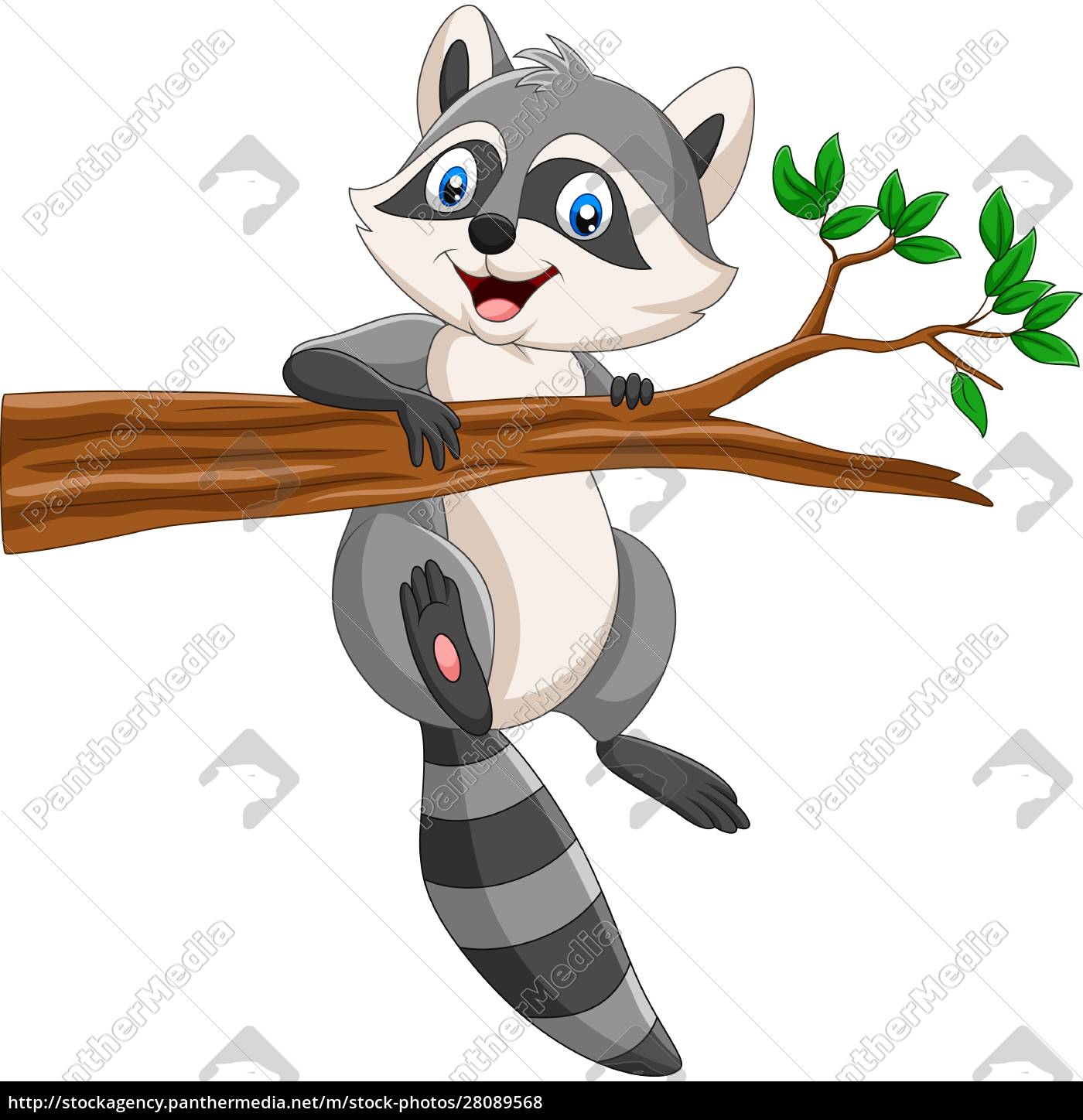 Mapache de dibujos animados en la rama del árbol - Stockphoto #28089568 |  Agencia de stock PantherMedia