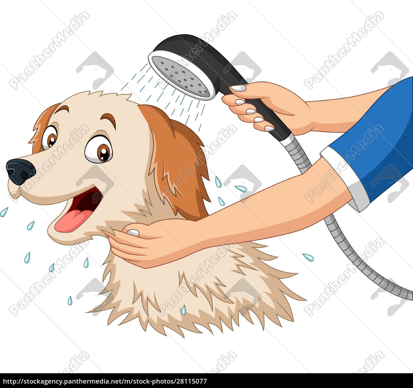 Perro de dibujos animados bañándose con ducha - Foto de archivo #28115077 |  Agencia de stock PantherMedia