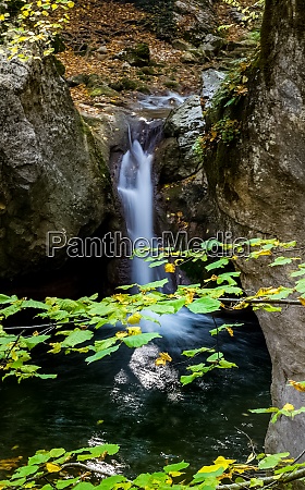 Kleiner Fluss im Wald mit Stromschnellen und - Lizenzfreies Bild ...