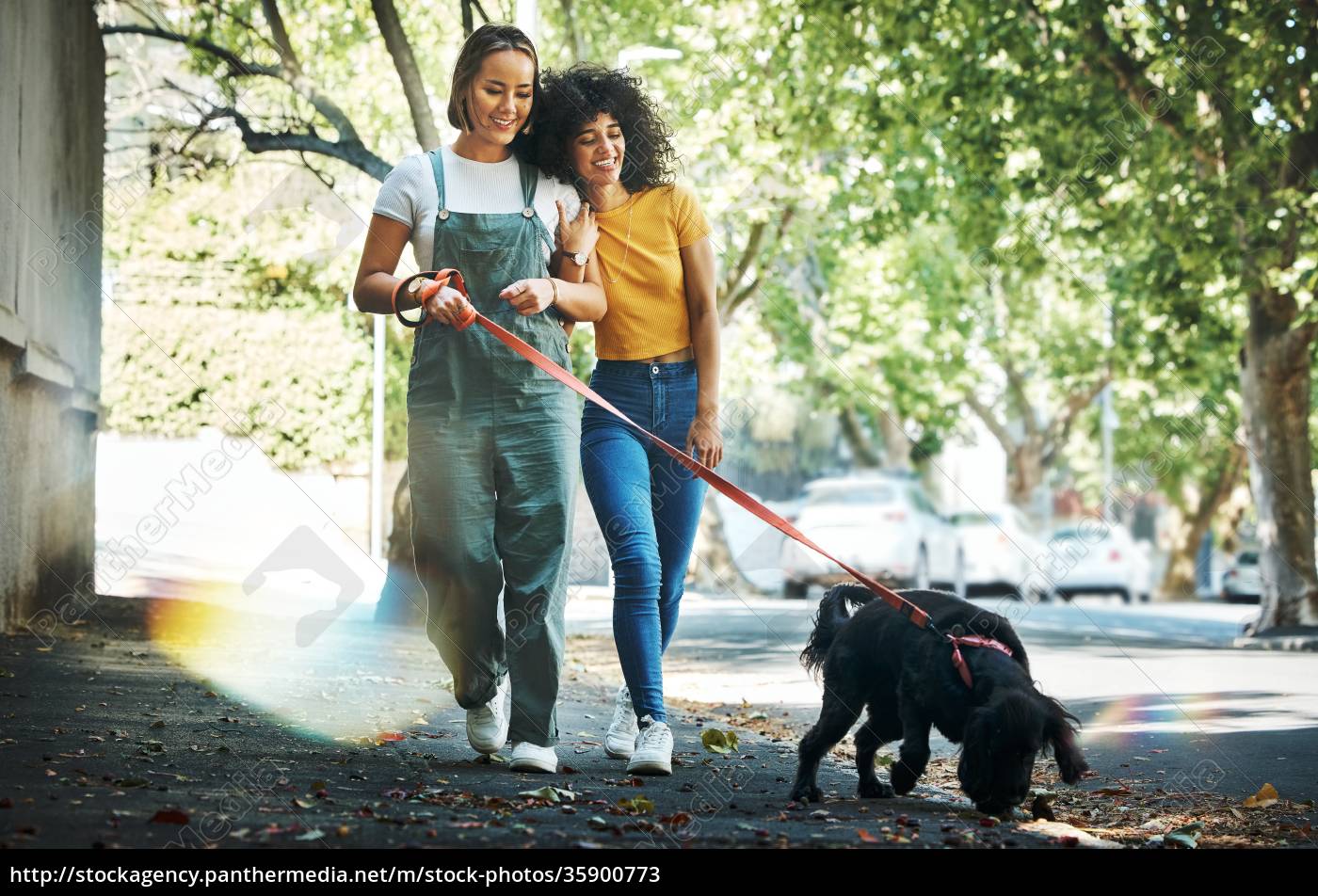 Pareja amor y unión lésbica que camina con perro en - Foto de archivo  #35900773 | Agencia de stock PantherMedia