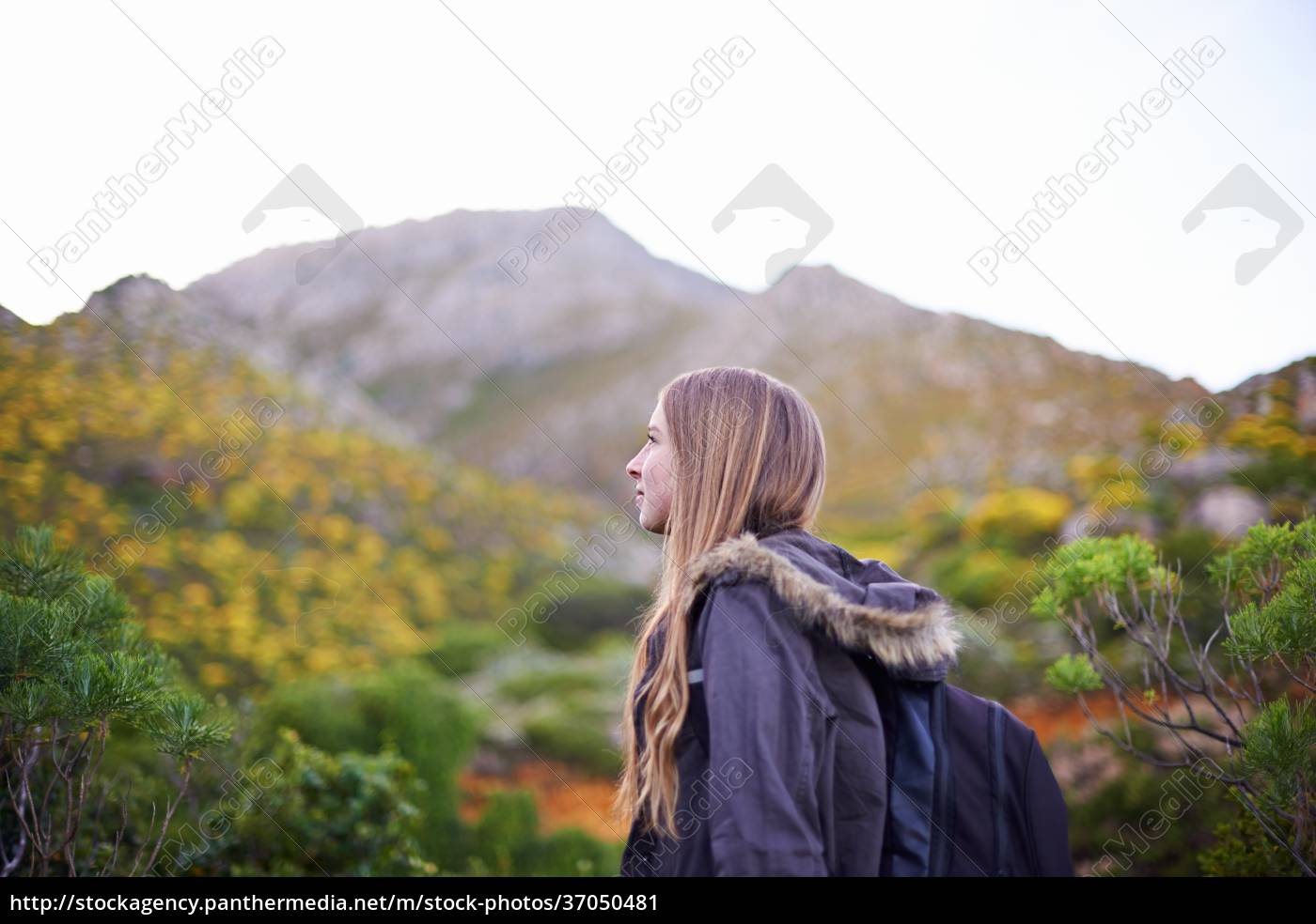 Mulher caminhadas e trekking de montanha para explorar - Fotos de arquivo  #37050481 | Banco de Imagens Panthermedia